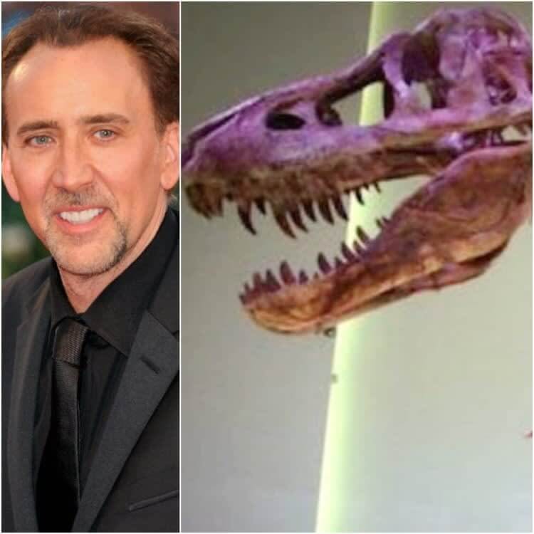 Nicholas Cage: A Dinosaur Skull