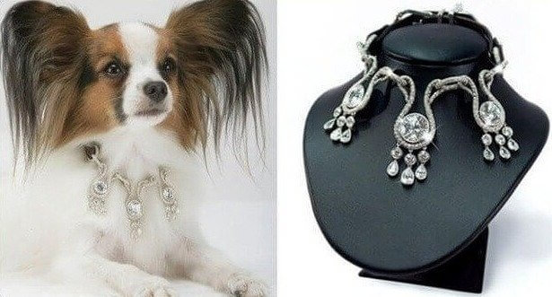 $3,200,000 Diamond and Sapphire Dog Collar