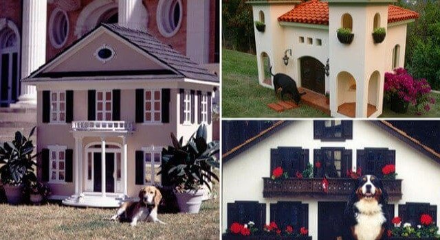 $95,000+ Luxury Dog Mansions
